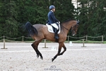Cls 9 Adv Medium 91Q portfolio