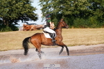 I-408-Leia.Massey-HOOVES.THE.DADDY portfolio