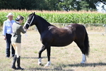 WJ6_4862