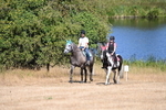 WJ6_8211