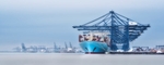 The Port Dock - Felixstowe - Suffolk