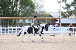 SBM_16737