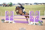 Cls 30 138cm HOYS Qualifier portfolio
