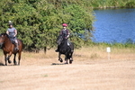 WJ6_7906