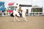 SBM_15225