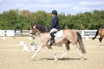 SBM_014559
