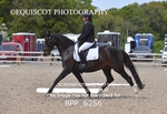 BPP_6256