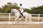 SBM_008704
