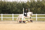 SBM_000222