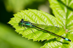 20150711-3K8A9005