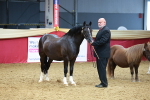 SBM_16809
