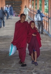 Young monks at Punakha