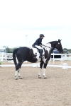 SBM_04975