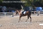 BPP_9570