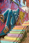 Urban Art of Valparaiso portfolio