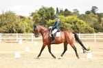 SBM_009491