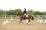 SBM_009625