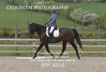 BPP_6515