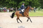 Cls 6 Snr Foxhunter and 1.20m Open portfolio