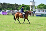 SBM_03788