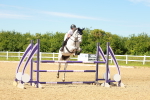 SBM_002568