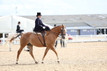 SBM_03350