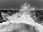 JUNE GALE - FOGO ISLAND