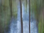 Afon Llugwy 2