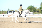 SBM_08565