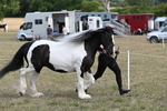 WJ6_6517