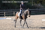 BPP_8947