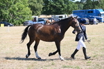 WJ6_8637