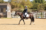 SBM_009678