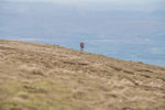 Black Combe-1478