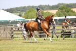 SBM_15059