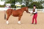 SBM_09194