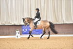 SBM_010338