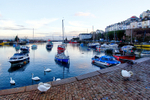 Early morning Brixham Harbour