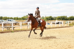 SBM_006250