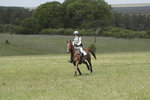 BVHT 140517  IXC -391