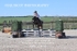 BPP_0491
