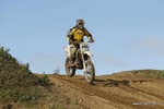 MX 291011 634