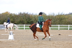 SBM_002334