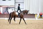 SBM_011906