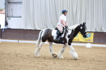 SBM_000053