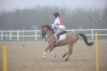 SBM_000976