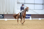 SBM_003137
