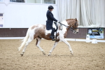 SBM_006981
