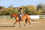 SBM_000423