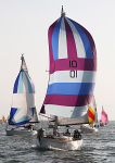100619 W-R 9 IMG_3779
